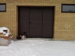 Подъемно-секционные ворота для гаража с калиткой